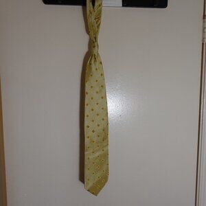 Silk Neck Tie - Carlo Palazzi